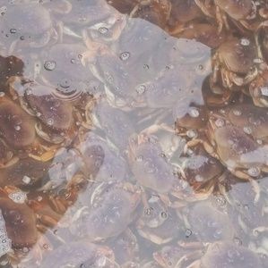 Meet your Posher, Cameron